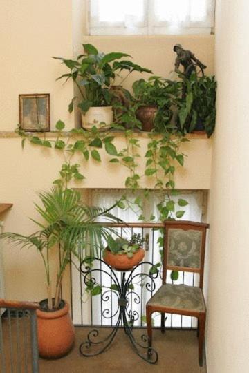 Hotel Pinocchio Frascati Bagian luar foto
